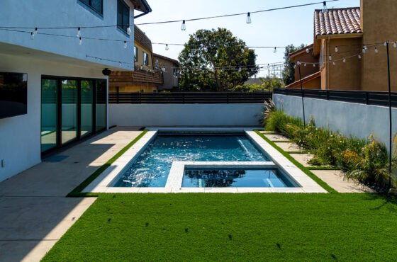 Evergreen Design Choices That Future-Proof Small Backyards