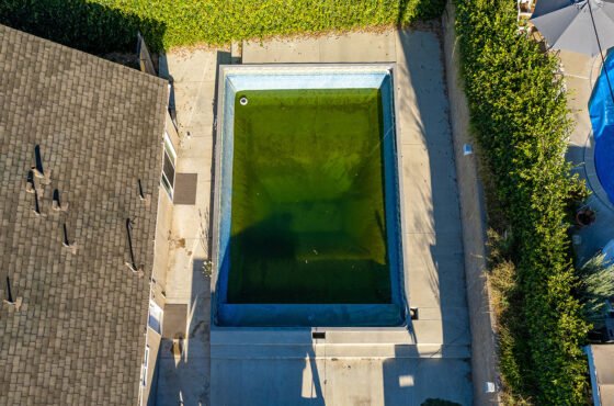 Everything to Know About Pool Remaking After Heavy Use