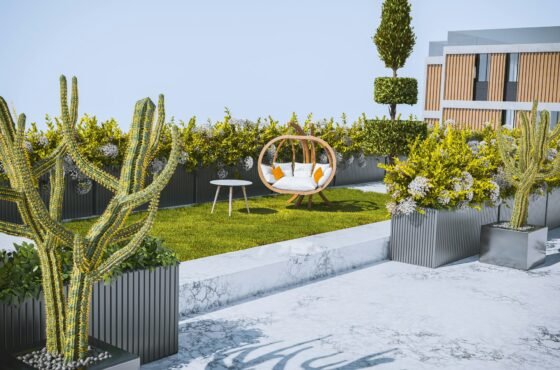 Why Backyard Design Should Consider Nearby Tree Roots